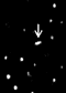 Asteroid 1992 KD as first imaged