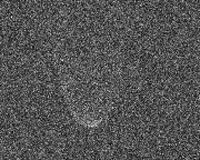 asteroid-3200-phaethon-arecibo-radar-bg.jpg