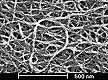 clean nanotubes ready for harvesting - spacer is 100 nanometers