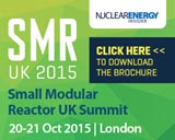 Make SMRs a commercial reality