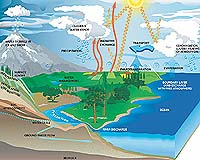 This image demonstrate the major components of the global water cycle, and show how these components contribute to regulating the cycling of water in our environment. For related animated go <a href=