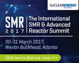 Develop commercial strategies for the global deployment of SMRs and Advanced Reactors